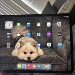 Apple iPad Pro (12.9-inch) (3rd gen) Very Functional & In Good Shape / Sold with Case 