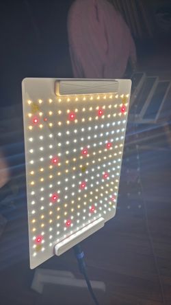 Grow light