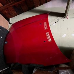 BMW E36 hood and door