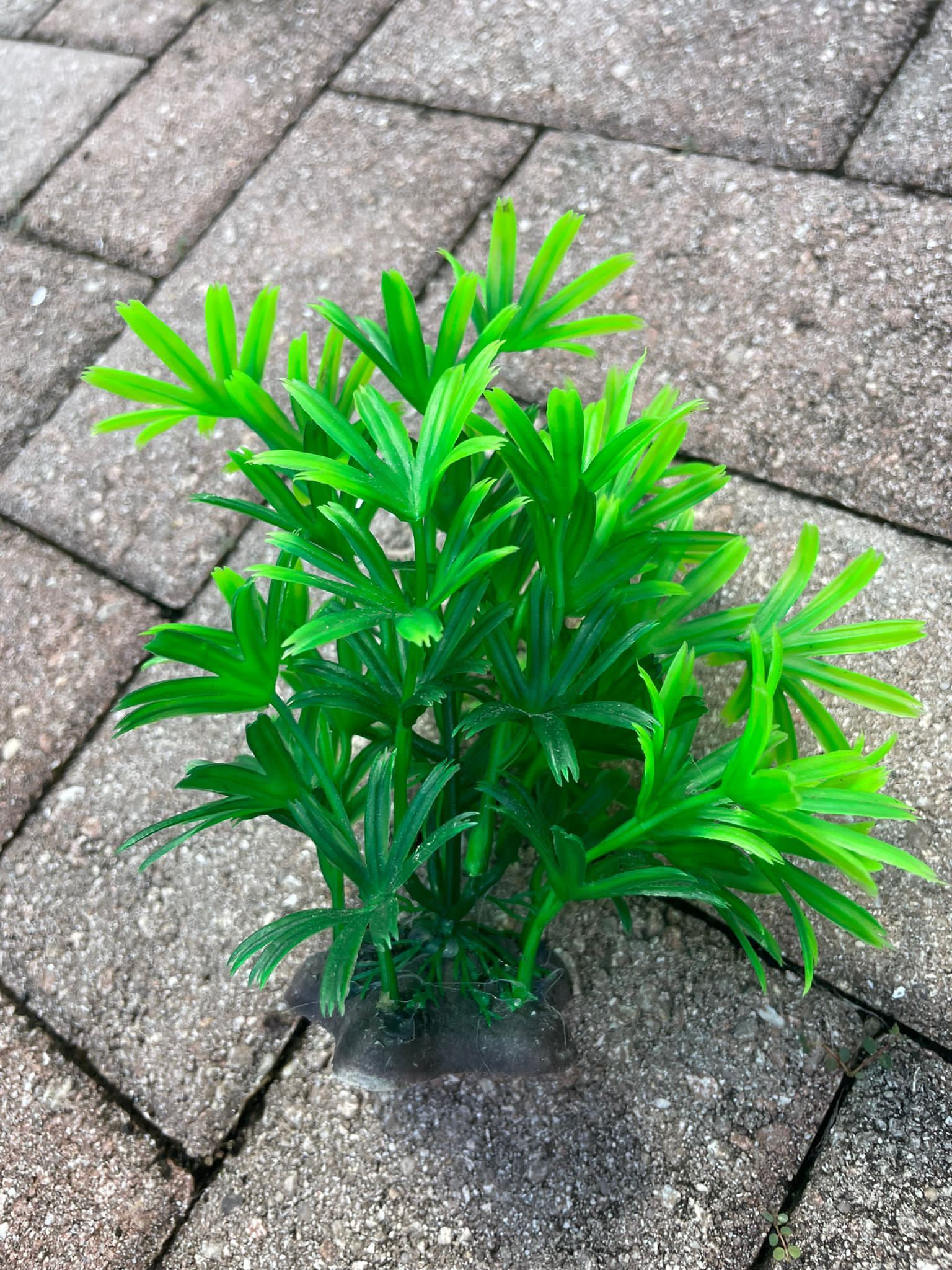 Ipetboom Plastic Fish Tank Plants Faux Plants Artificial Plants 2pcs Aquarium Landscaping Plastic Fake Aquatic Plants Decorate Betta Fish Tank Small P