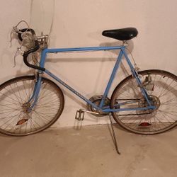 Schwinn Varsity Bike large model