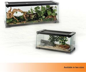 QuickBuild Reptile 65 Gallon Glass Terrarium, 36" x 18" x 18" Front opening terrarium with sliding glass doors, locking top screen, feeding port, temp