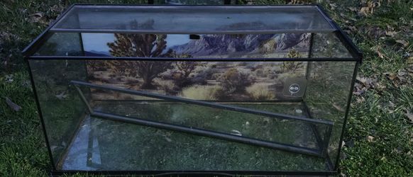 Bearded dragon/reptile tank – bottom crack (see photos)
