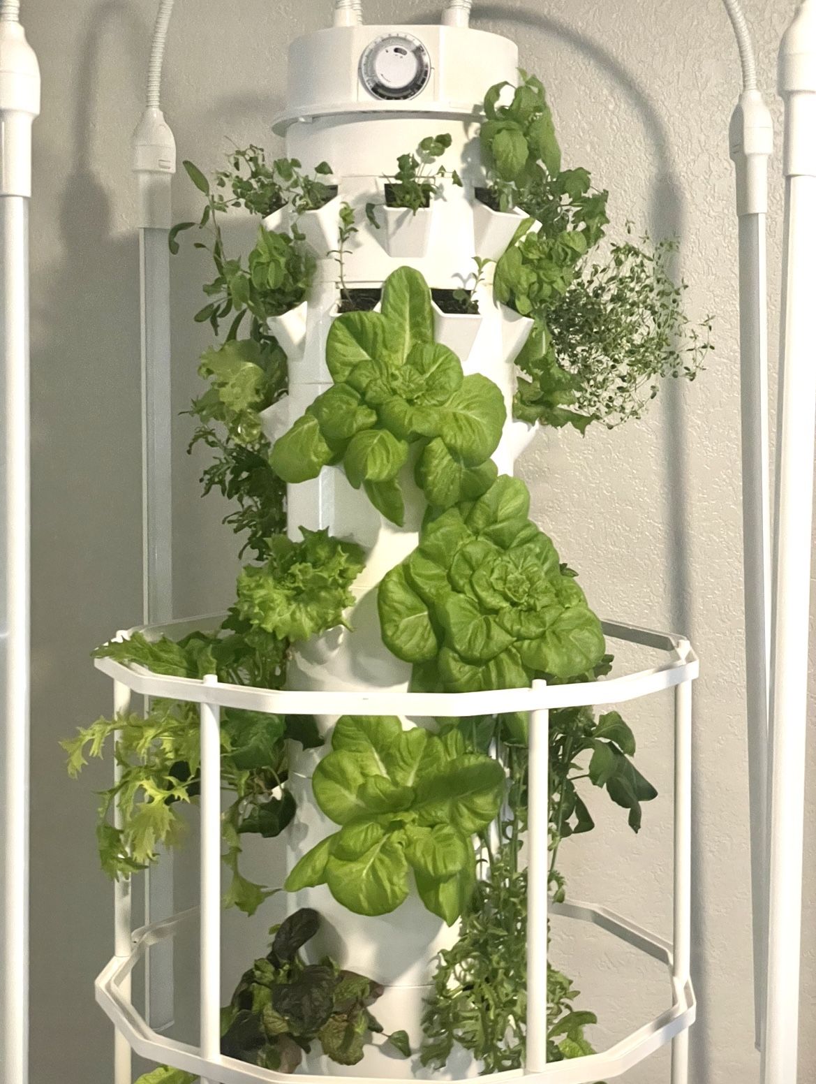 HOME Tower Garden Unit with Lights, Cage Extension and Accessories!
