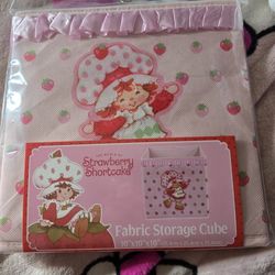 Strawberry Shortcake Storage Cube 