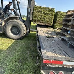 Grass Sod 