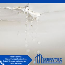 Water Damage Restoration 