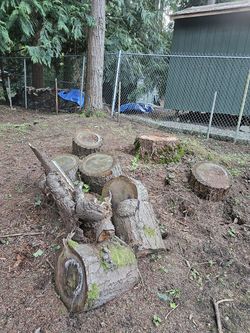 Douglas Fir wood for firewood or DIY projects