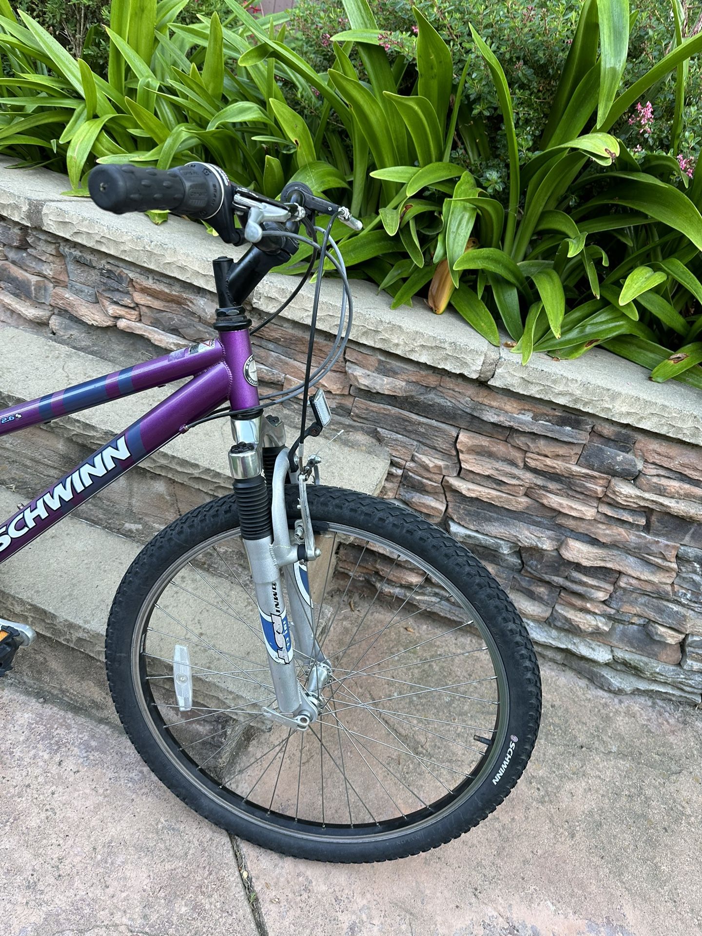 schwinn sidewinder 2.6 fs