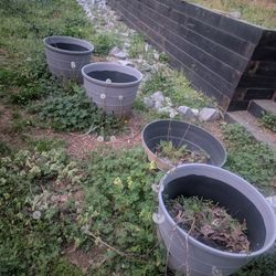 Large Plastic Planters And Tomato Cages
