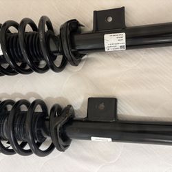 Tesla Model 3 Highland Struts Rear Wheel Drive