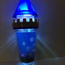 Cinderella Castle Glow Cup Pick Up Christmas Day