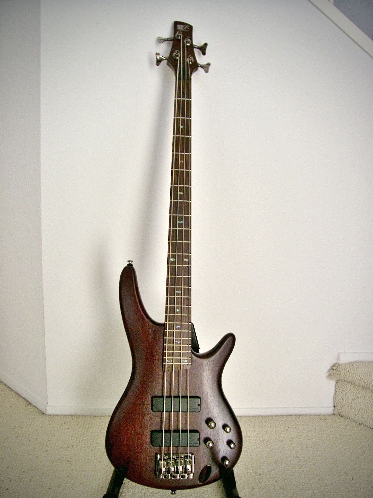 Bass Guitar Ibanez 