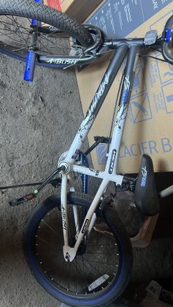 Kent 20” Bike