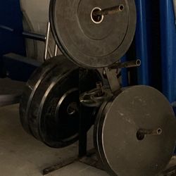 45, 35, 25 Pound Plates 
