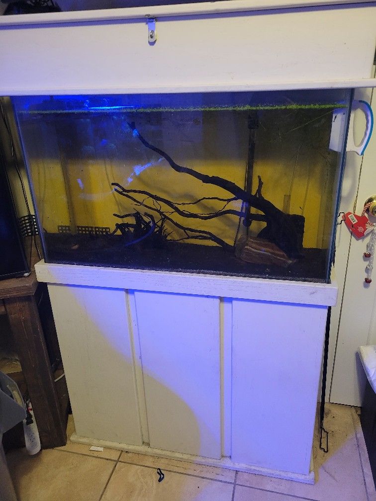 45 Gallon Aquarium