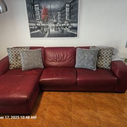 Natuzzi Leather Sofa Bed
