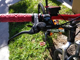 Raleigh Enduro M8000 mountain bike 26