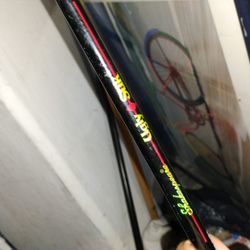 Shakespeare Ugly Stik