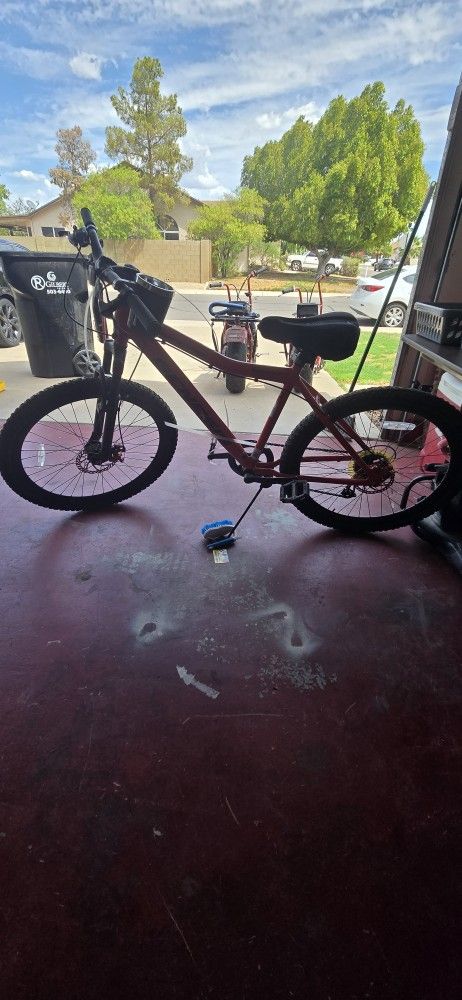 Adult Men's Mountain Bike