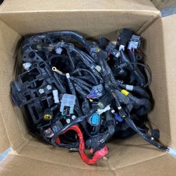 Yamaha Fz10 Wore Harness Complete