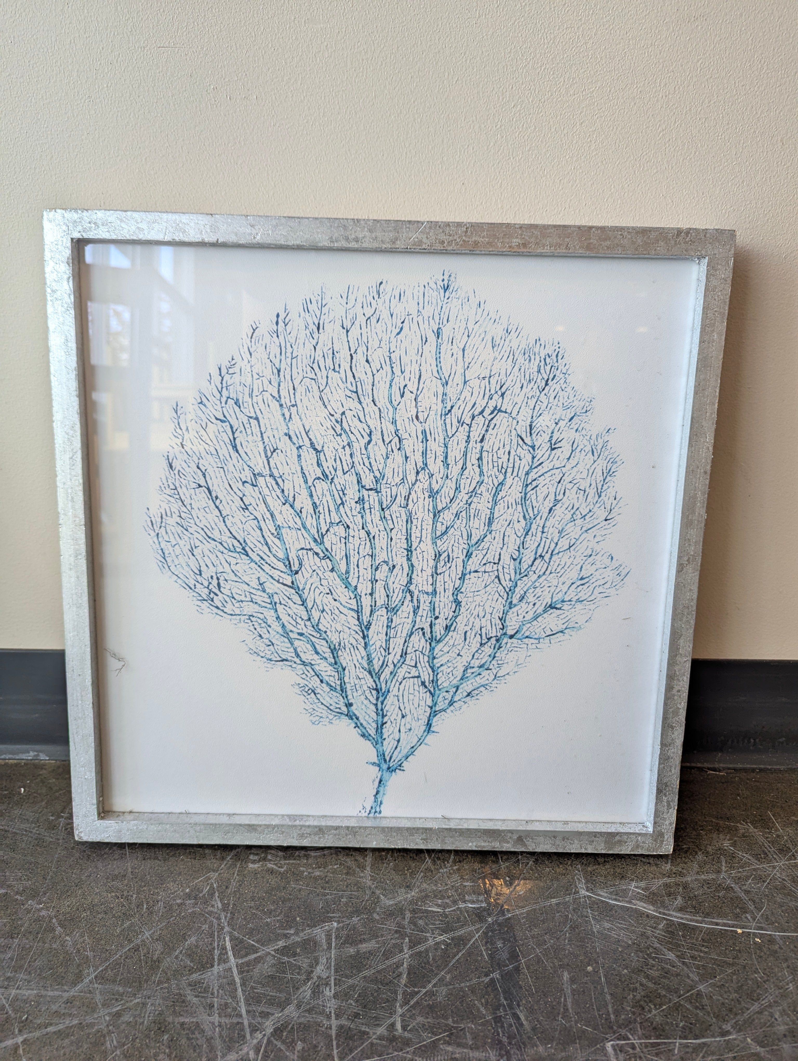 Framed Coral Print