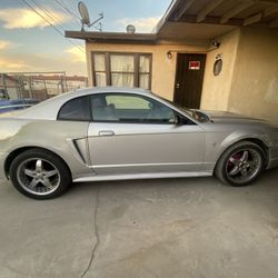 2001 Ford Mustang 