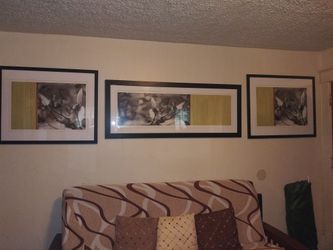 Three large wall pictures perfect condition no brakes no cracks, black & white flowers wall pictures by Janet Van Arsdale