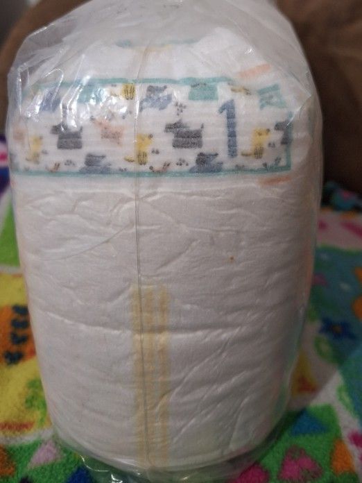 Parents Choice Size 1 45 Diapers $6 Zip Code 77012 