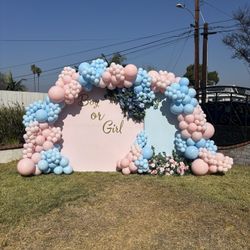 Boy Or Girl Gender Reveal Balloons 