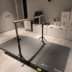 Z Athletic Kip Bar with Mat