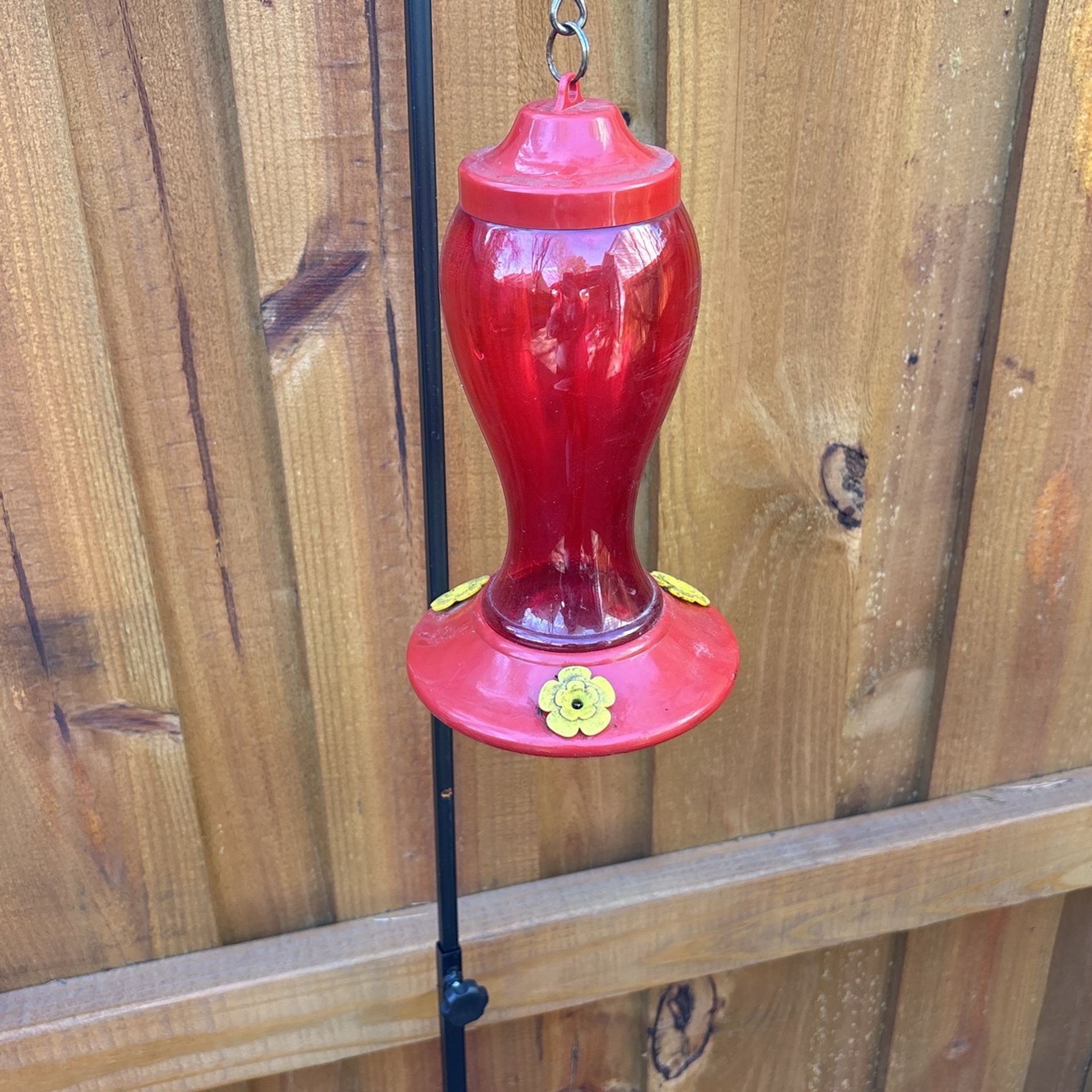 Hummingbird Feeder