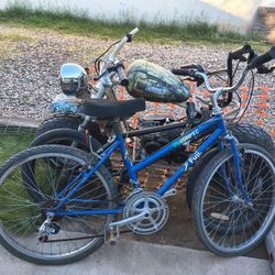 Blue Fuji Mountain Bike 