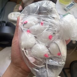 Pet Toys New Cat Toys Mint Herbs Around 10 Pcs Inside 