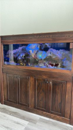 Fish Tank for Sale