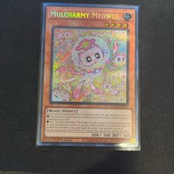 YUGIHO 