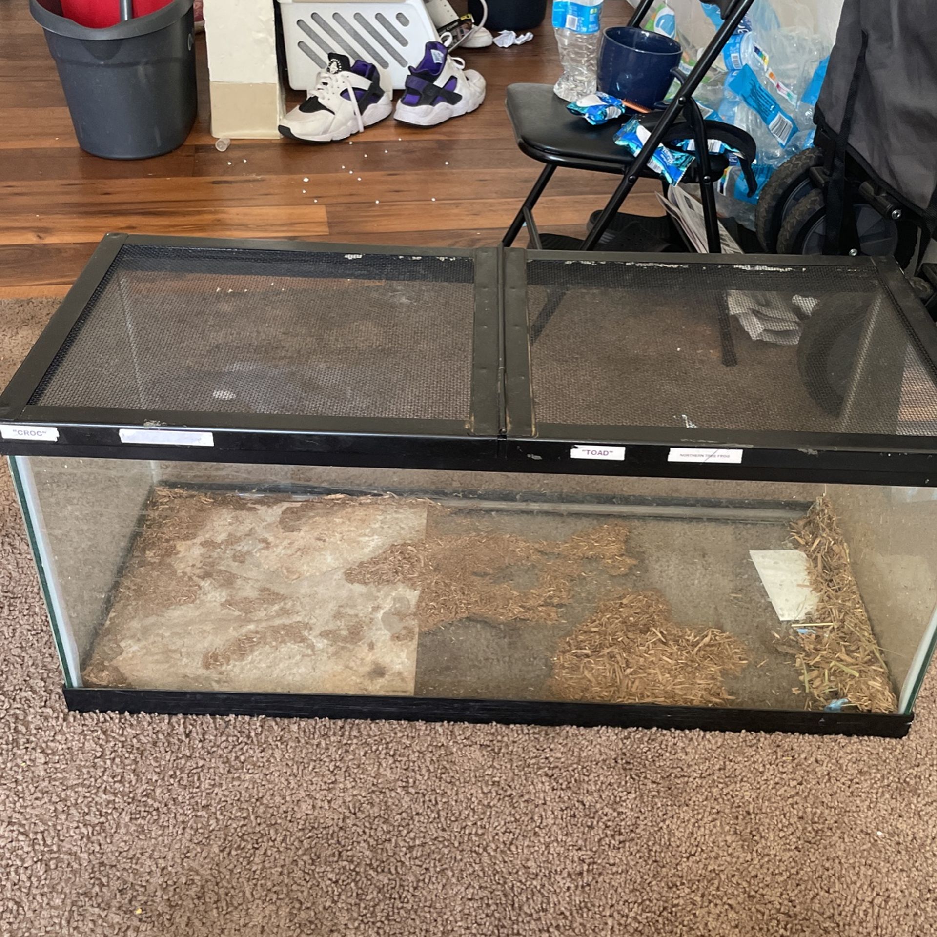 aquarium