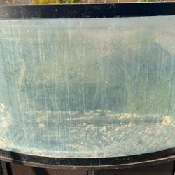 36g Bowfront Aquarium 