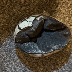 Septarian ‘Dragon Egg’ Nodule $189