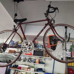 Bike For Sale