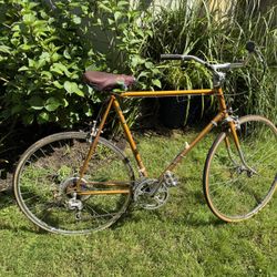 Centurion Road Bike