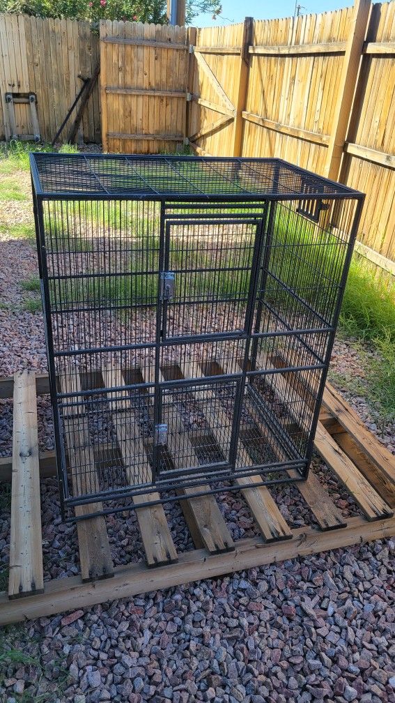 BIRD CAGE