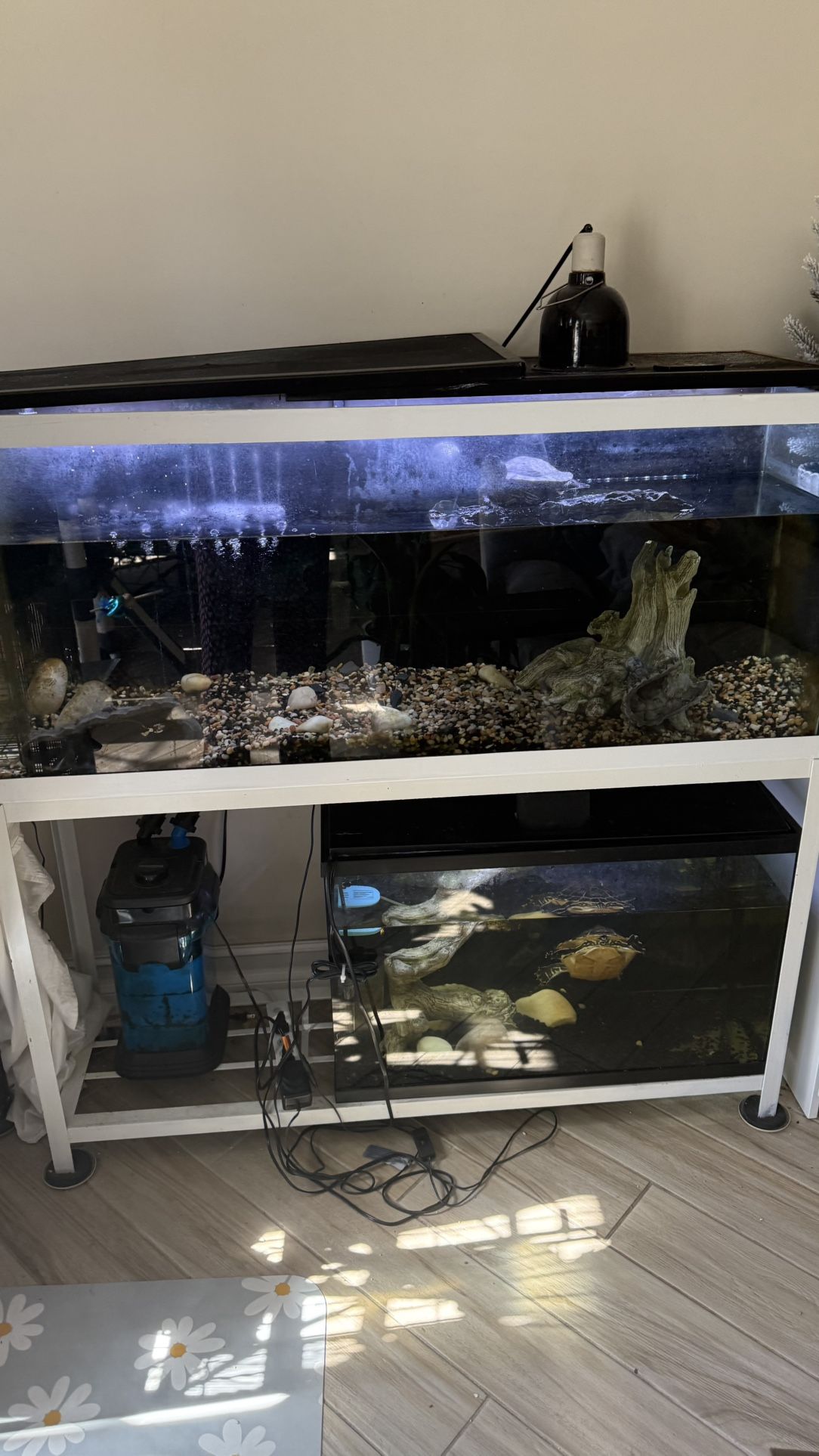 75 Gallon Aquarium With Stand