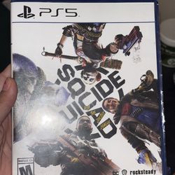 Ps5 suicide squad Game