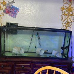 55 Gallon Saltwater QT Tank 