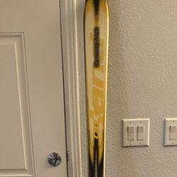 Dynasties Outland 192cm Skis