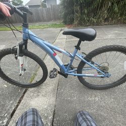 Diamondback Tess Bike Size 24