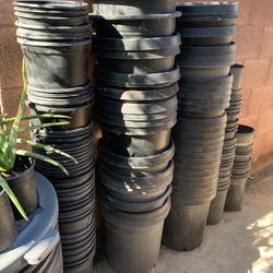 Plants Buckets Pots For Gardening Many To Choose From