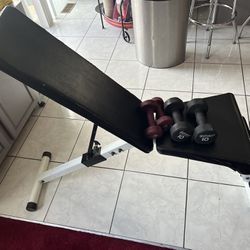 Weight Lifting Workout Bench