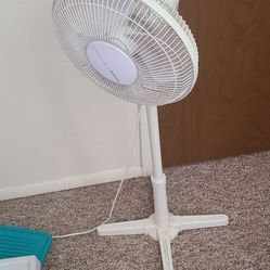 FLOOR Fan